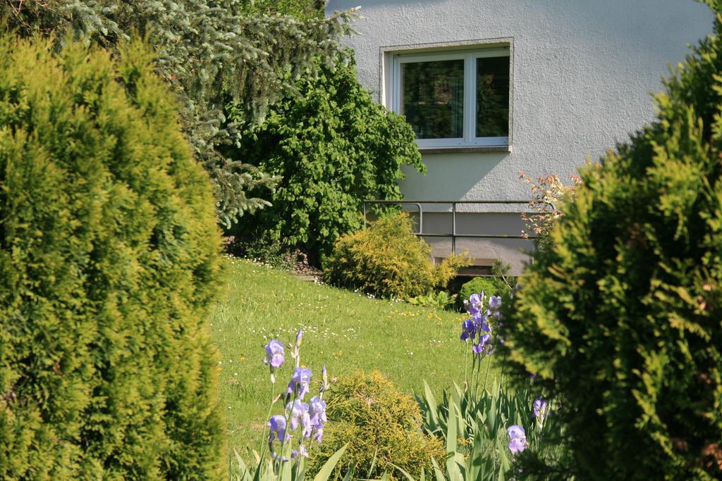 Wutoschingen Ferienwohnung Zur Tanne חדר תמונה